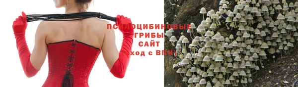 прущие грибы Ханты-Мансийск