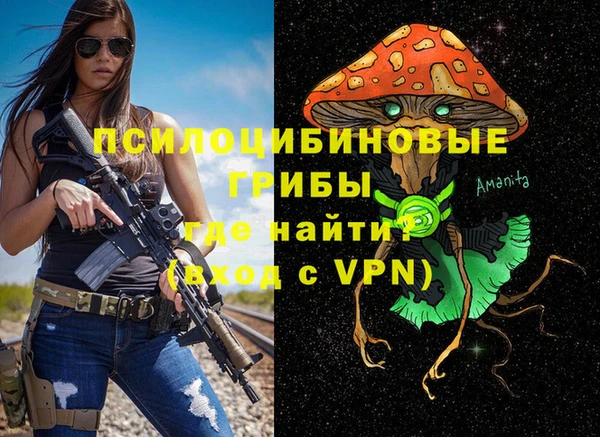 прущие грибы Ханты-Мансийск