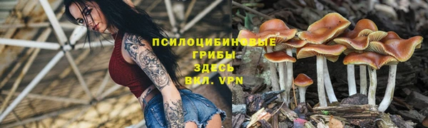 прущие грибы Ханты-Мансийск